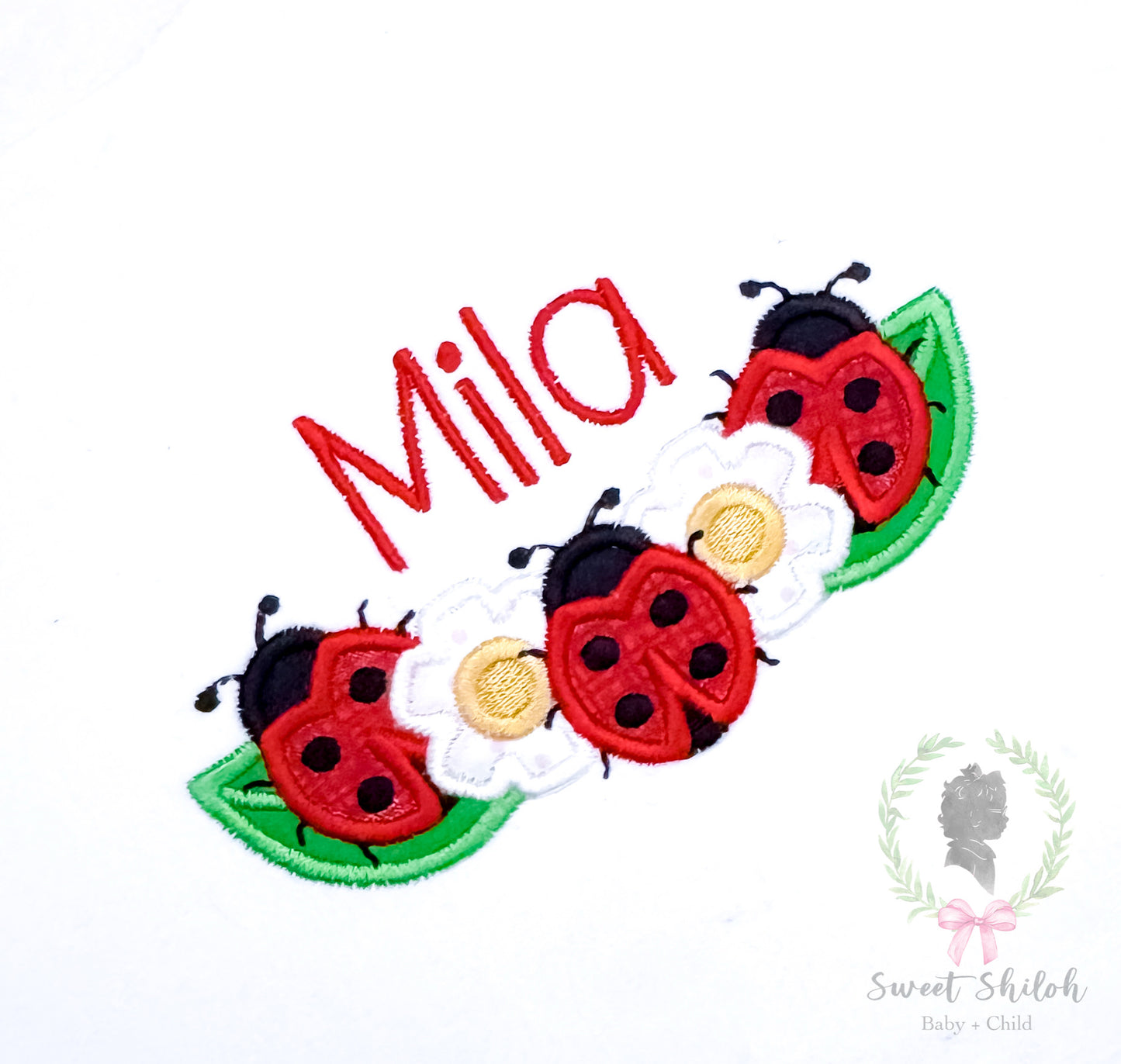 Ladybug Floral Satin Applique Frame