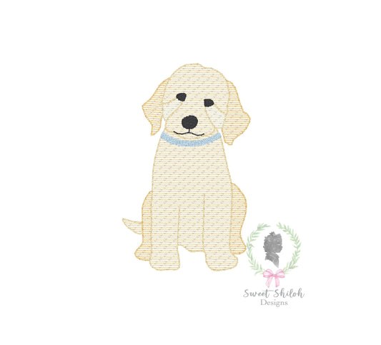 Golden Doodle Sketch