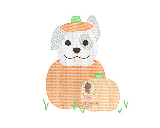 Pumpkin Patch Pup Sketch