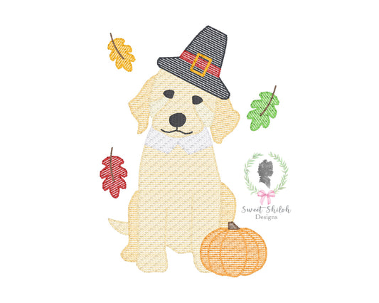 Pilgrim Golden Doodle Sketch