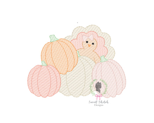 Pumpkin Patch Bow Turkey Sketch