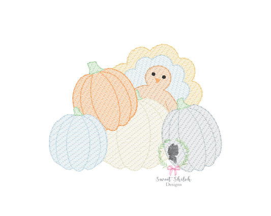 Pumpkin Patch Turkey Sketch