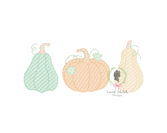 Pumpkin Squash Trio Sketch